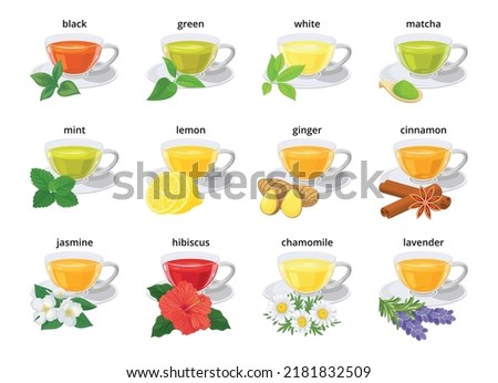 Set of various tea tipes in glass cup with ingredients, tea leaves. Black, green, white, matcha, herbal and flower, ginger, lemon, cinnamon tea. Isolated object, sign, simbol for menu, label, package