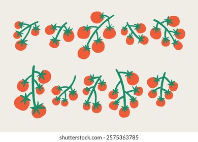 Set Various Tomato Cherry Branch. Vegetable Pomodoro Vine Collection. Hand Drawn Vector Isolated Illustration