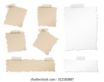Set of various torn note papers with adhesive, sticky tape on white background