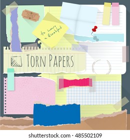 Set of various torn note papers with adhesive tape and cardboard. Vector mock up.