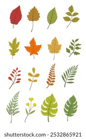 Conjunto de varias hojas de árbol, roble, arce y castaño. La primavera o el verano deja colección. Ilustración vectorial plana sobre un fondo blanco.