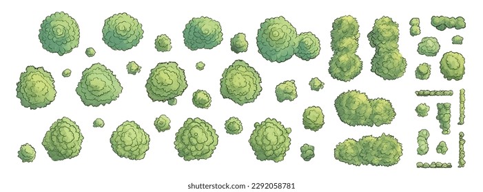 Set of various trees, bushes and shrubs, top view for landscape design plan or game design. Vector illustration in cartoon style, isolated on white background.