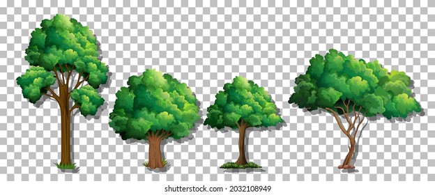 Set of various trees on transparent background illustration