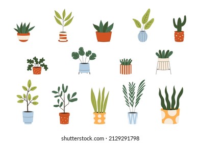 Set of various trendy indoor houseplants. Colorful flat vector illustration isolated on white background