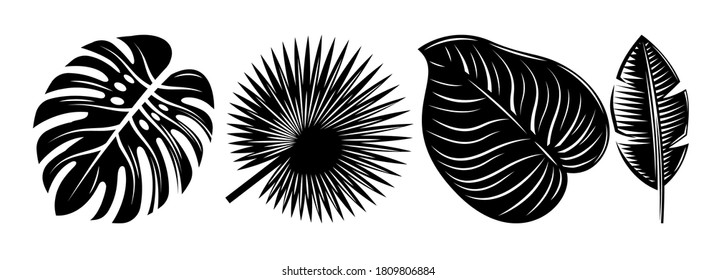 Set of various tropical black leaves. Design elements. Monochrome illustration.