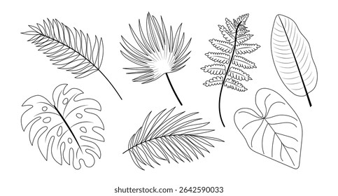 Set of various tropical and botanical leaves. Hand drawn, black outline, contour style. Vector illustration isolated on a white background. Botanical collection, eco-friendly design.