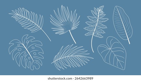 Set of various tropical and botanical leaves. Hand drawn, white outline, contour style. Vector illustration isolated on a white background. Botanical collection, eco-friendly design.