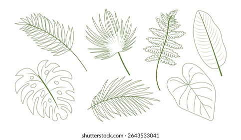 Set of various tropical and botanical leaves including monstera, palm, fern and philodendron. Hand drawn, green outline, contour style. Botanical collection, eco-friendly design.