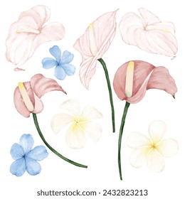 Un conjunto de varias flores tropicales