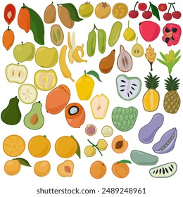 Conjunto de varias frutas tropicales enteras y mitades en Ilustración vectorial de estilo plano