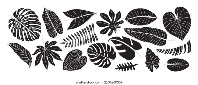 Conjunto de hojas de palmera tropicales. Siluetas negras de plantas tropicales. Hojas de la selva de la Monstera y la palma, follaje exótico, colección decorativa de plantas naturales. Ilustración plana vectorial dibujada a mano