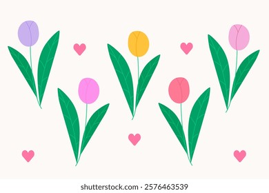 Set with various tulips. Bouquets for Women`s day and Mother`s day. Modern isolated vector illustration.