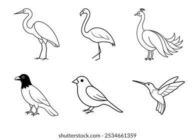 A set of various types of birds like sparrow, flamingo, peacock, raven, heron and hummingbird