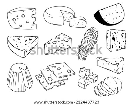 Set of various types of cheese. Collection of fresh cheeses cheddar, mozzarella, maasdam, brie, gouda, etc. Tasty dairy product. Snacks for drinks. Vector illustration.