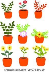 A set of various types of flower plants in pots