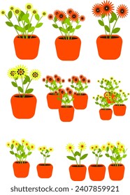 A set of various types of flower plants in pots