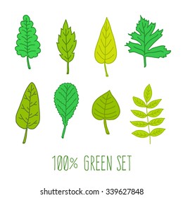 Set of various types of green hand drawn leaves. Vector botanical collection for eco design
