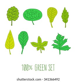 Set of various types of green hand drawn leaves. Vector botanical collection for eco design