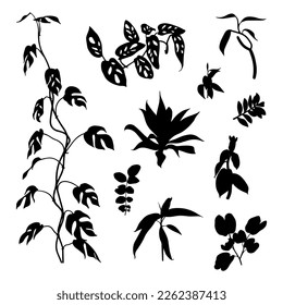 set various types of leaves. silhouette. vector. suitable for use as motif elements, templates, backgrounds, greeting cards, invitation cards and can also beautify your design elements