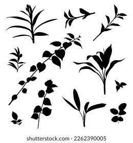 set various types of leaves. silhouette. vector. perfect for use as motif elements, templates, backgrounds, greeting cards, invitation cards and can also beautify your design elements
