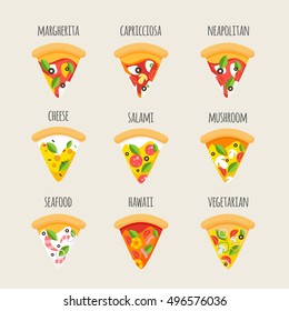 Set of various types of pizza in flat style