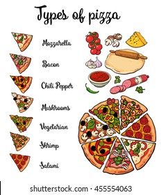 Set of various types of pizza and pizza ingredients, sketch style vector illustration isolated on white background. Basic ingredients and slices of freshly baked mozzarella mushroom vegetarian pizza