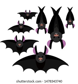 Set of various vampire bats isolated vector halloween art