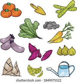 Set of various vegetables, agricultural tools, etc.