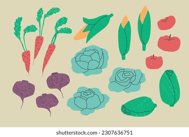 Conjunto de verduras diversas - col, zanahorias, remolacha, maíz, tomates, lechuga de iceberg. Ilustración vectorial de tendencia plana con texturas.
