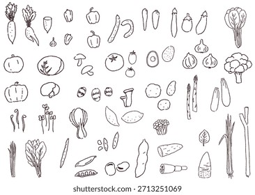 Conjunto de varios dibujos de líneas dibujadas a mano de verduras