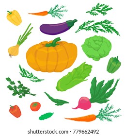Set of various vegetables. Healthy food. Vector illustration isolated from the white background.