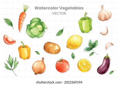 Set of various vegetables painted in watercolor