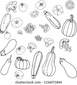 Set of various vegetables - vector illustration: tomatoes, broccoli, eggplants, pumpkins and zucchini