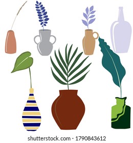 Set of various vessels with exotic plants, vector illustration