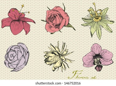 Set of various vintage flowers on polka dot design background.