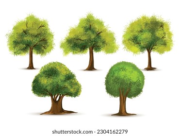 	
Set of various watercolor trees on white background