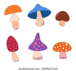 Set of various whimsical mushrooms in different shapes and colors, perfect for nature-themed designs, children's books, patterns and fall or fantasy artwork. Vector illustration, isolated on white.