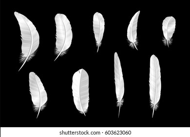 Set of various white bird feathers on a black background. Collection 3d realistic style soft fluffy macro swan vector illustration. Pen for handwriting