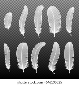 Set of various white bird feathers on a transparent background. Collection 3d realistic style soft fluffy macro swan vector illustration. Pen for handwriting