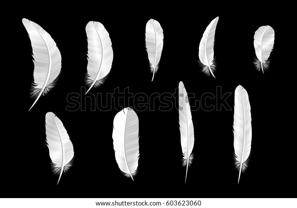 黒い背景にさまざまな白い鳥の羽のセット コレクション3dのリアルなスタイルの柔らかくふわふわしたマクロの白鳥のベクターイラスト 手書き 用のペン のベクター画像素材 ロイヤリティフリー