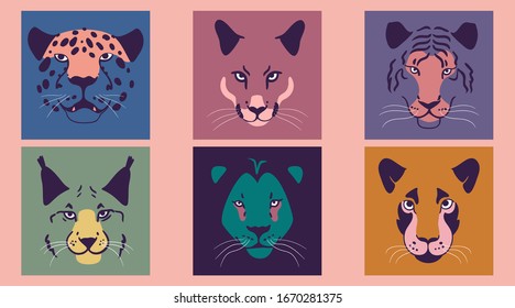 Set of various wild animal faces. All elements are isolated.