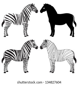 Set of various zebra silhouettes