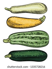 Set of various zucchini on a white background. Detailed drawing by hand.