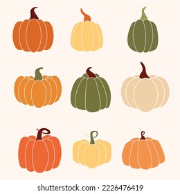 set of variousity pumpkin for thanksgiving or halloween