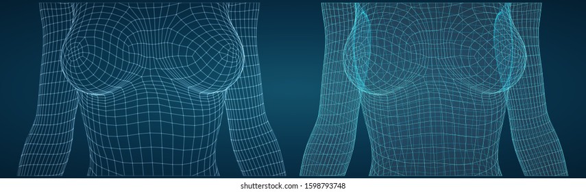 set of vector 3d female bodies, thin line style