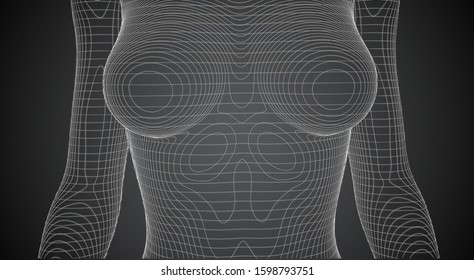 set of vector 3d female bodies, thin line style