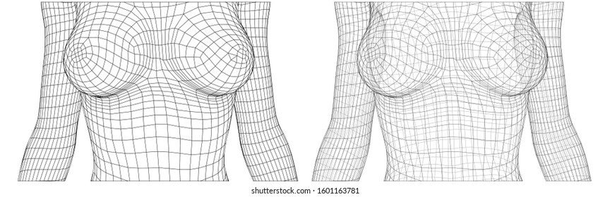 set of vector 3d female bodies, thin line style