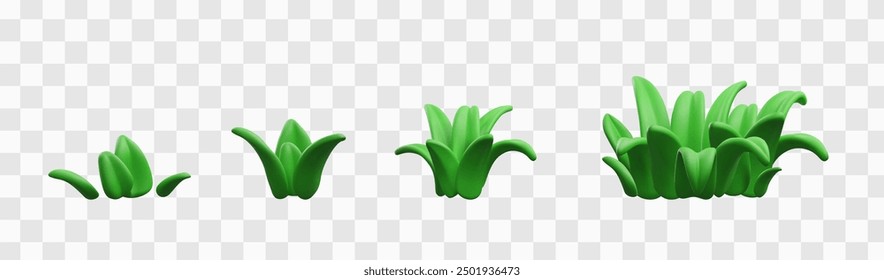Satz von Vektor-3D-Illustrationen, die Wachstumsstadien von realistischem grünem Gras zeigen, Zeichentricksymbole für frisches Frühlingspflanzendesign auf isoliertem transparentem Hintergrund.