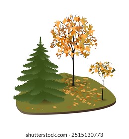 Set of vector 3D isometric trees. Collection of street plants for creating your own design