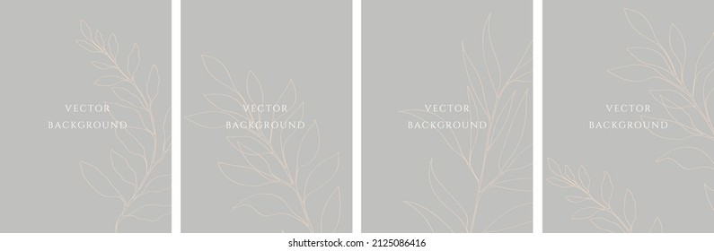 Set of vector abstract elegant backgrounds templates in minimal style with branch.